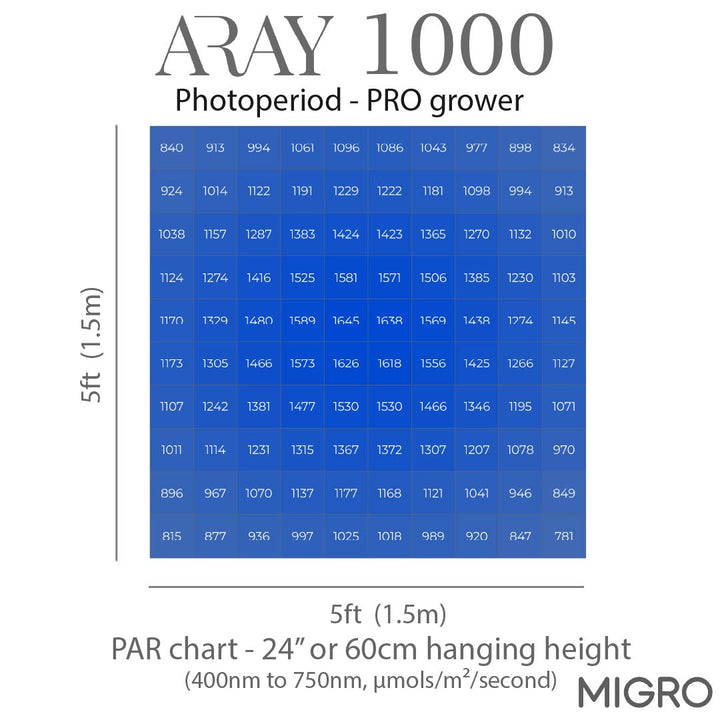 MIGRO ARAY 1000 - MIGROLIGHT