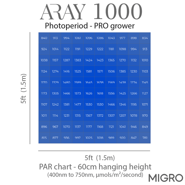 MIGRO ARAY 1000 - MIGROLIGHT