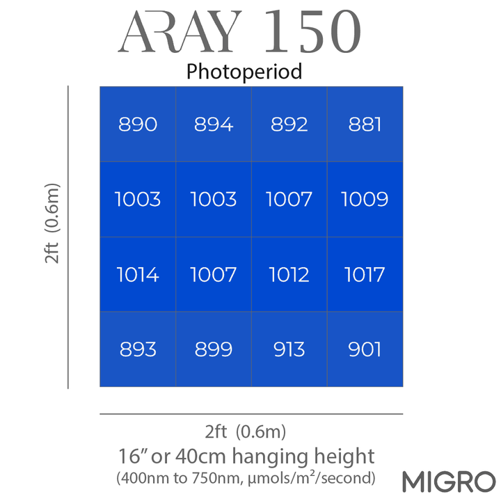 PAR chart showing the even PAR intensity delivered by the ARAY 150 over a 2ft x 2ft or 60cm x 60cm grow area for photoperiod cannabis plants