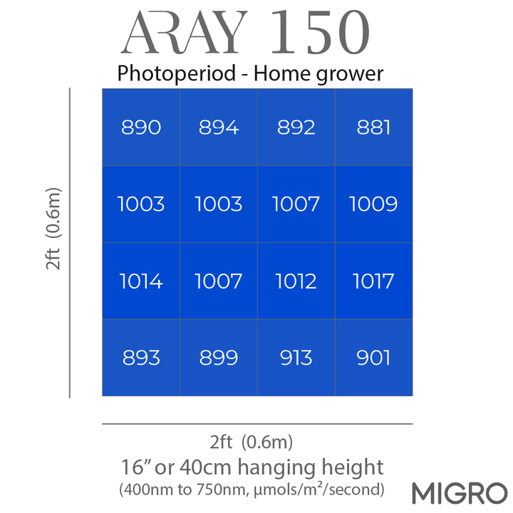 MIGRO ARAY 150 - MIGROLIGHT