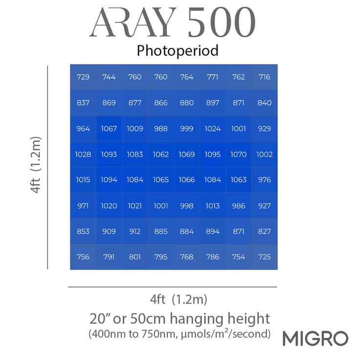 ARAY 500 & 2 x INTRA 160 package - MIGROLIGHT