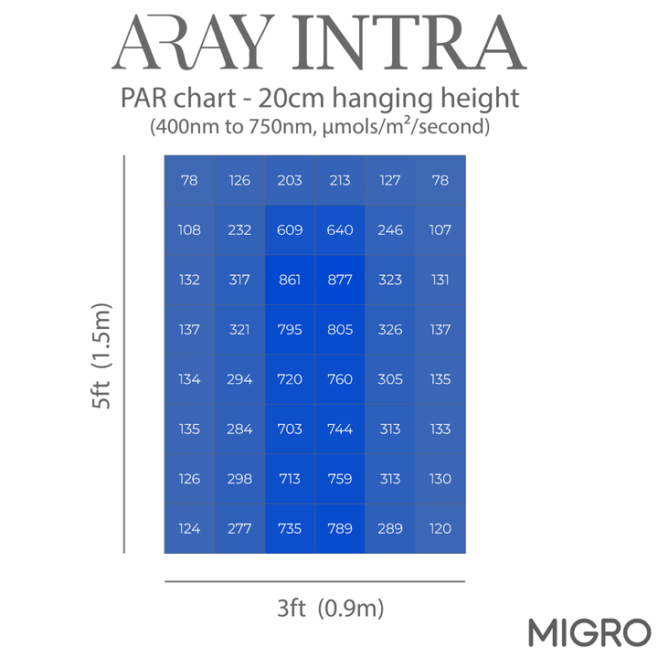 MIGRO ARAY Intra 160 - MIGROLIGHT