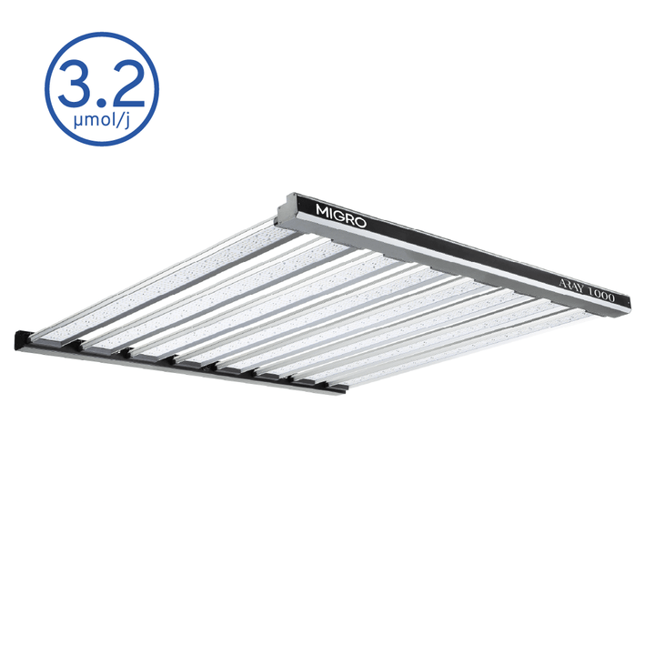 MIGRO ARAY 1000 - MIGROLIGHT