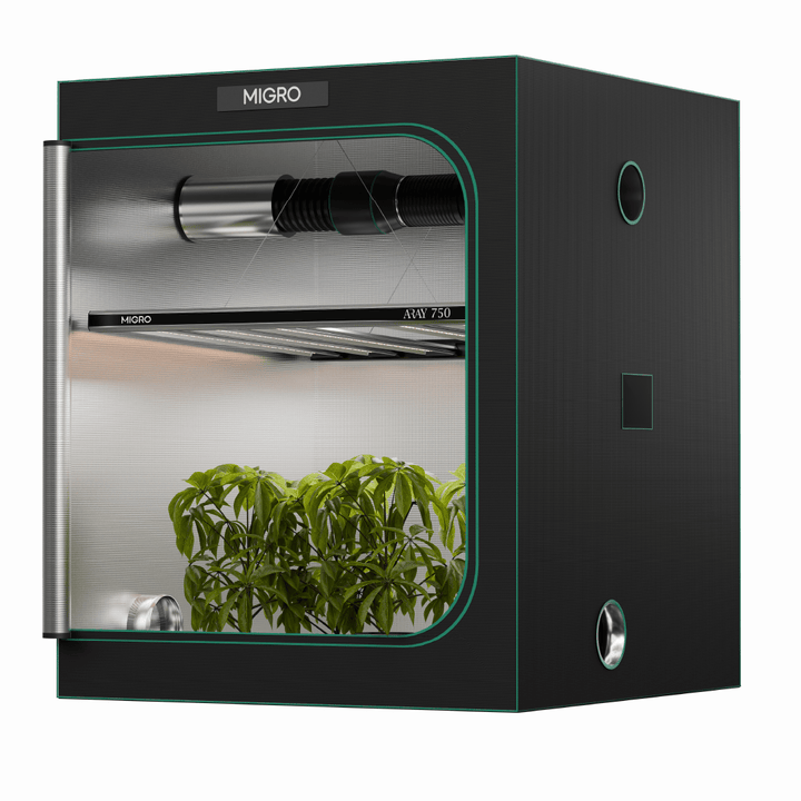 The MIGRO ARAY 750 is the optimum solution for a 5ft x 5ft or 150cm x 150cm grow tent for photoperiod flowering cannabis plants or a 6ft x6ft or 180cm x 180 cm grow space for Autoflowering cannabis plant