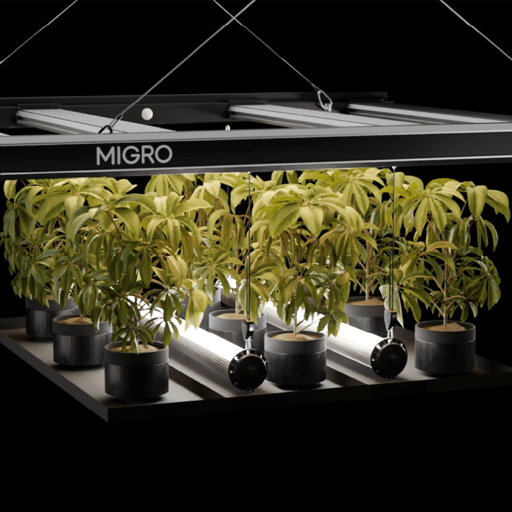 MIGRO ARAY Intra 160 - MIGROLIGHT