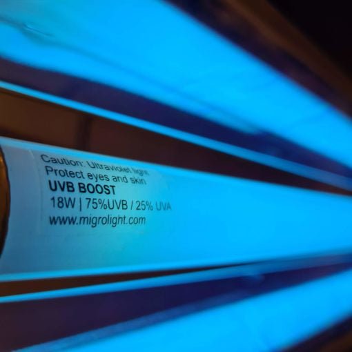 MIGRO UVB 310 fixture and fluorescent tube - MIGROLIGHT