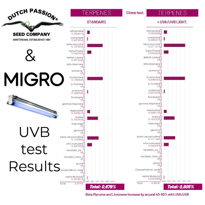 MIGRO UVB 310 fixture and fluorescent tube - MIGROLIGHT